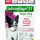 Advantage II  21-55 red     6 packs