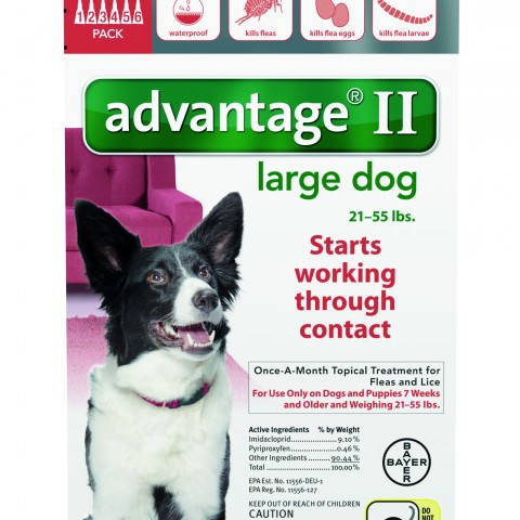 Advantage_6pk_LargeDog_Front